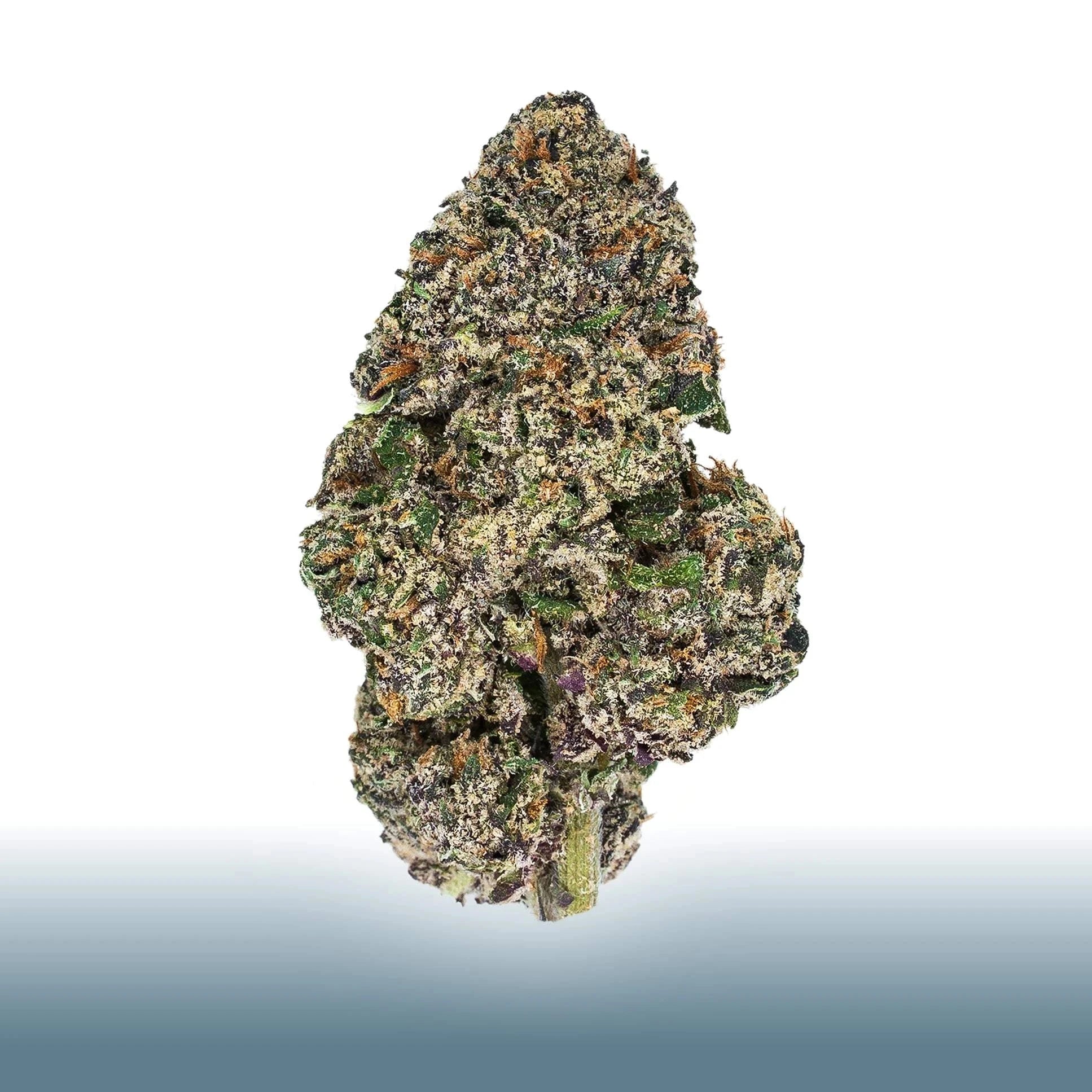 Collection of Close-up of a dense top-shelf flower cannabis bud Lemon Cherry Gelato, indica-dominant hybrid with 25.226% THC, energizing and relaxing effects in a gallery layout